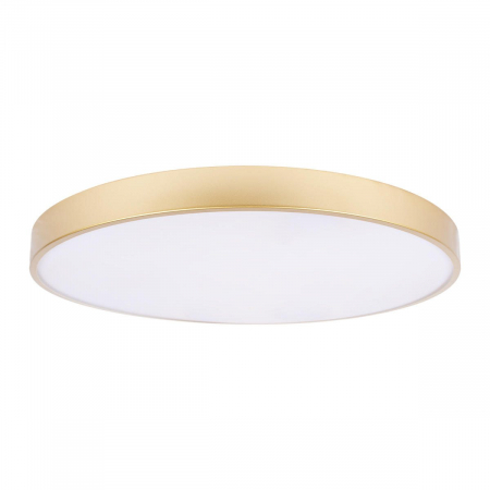 Потолочный светильник Loft IT Flims 10228/B