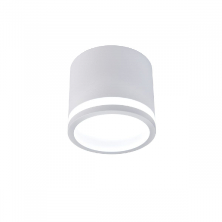 Накладной светильник Favourite Festum 4213-1C