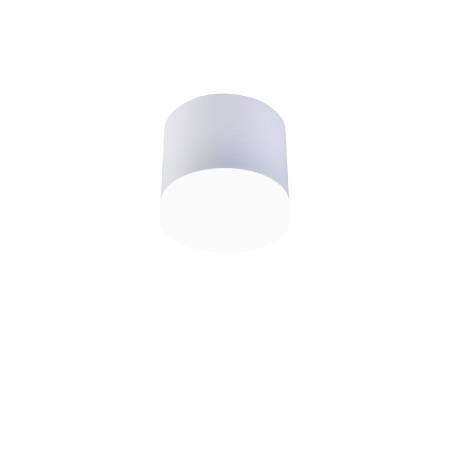 Накладной светильник Favourite Soiree 4215-1C