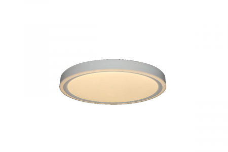 Потолочный светильник Zortes Bella ZRS.1200.04