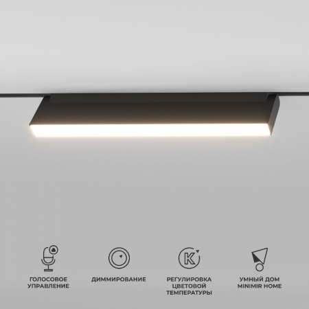 Трековый магнитный светильник Elektrostandard Slim Magnetic 4690389195419 a063544
