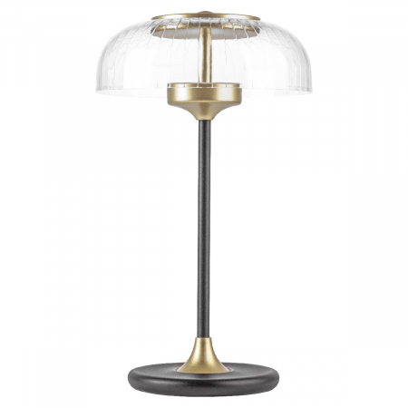 Настольная лампа Lightstar Acrile 738973