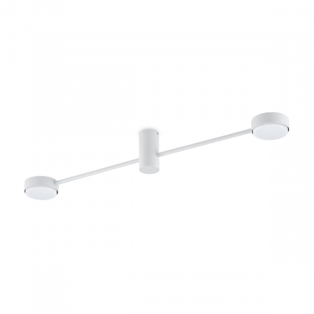 Потолочный светильник Freya Tactic FR5363CL-02W1