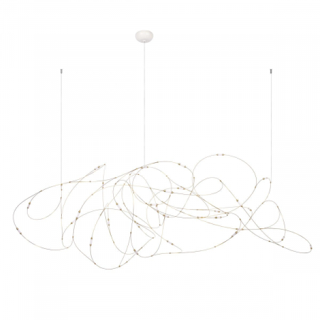 Подвесная люстра Loft IT Flock of Light 10309/31