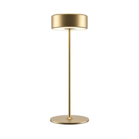 Аккумуляторная настольная лампа Maytoni AI Collaboration MOD229TL-L3G3K2