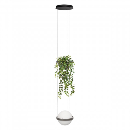 Подвесной светильник Loft IT Jardin 10121/1P Dark grey
