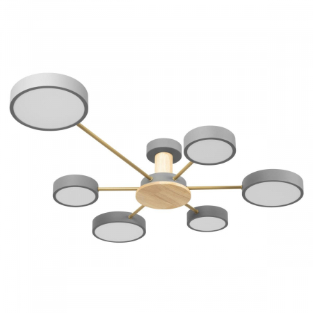 Потолочная люстра Loft IT Sunrise 10316/6 Grey