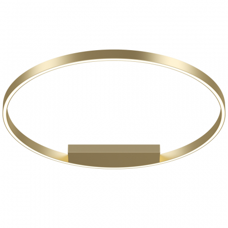 Потолочная люстра Maytoni Rim MOD058CL-L50BSK