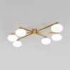 Потолочная люстра Eurosvet Opaline 70220/6 латунь Smart a065766