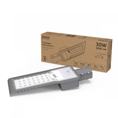 Уличный консольный светильник Gauss Avenue 629534130