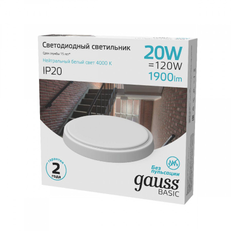 Настенно-потолочный светильник Gauss Basic 193411220B