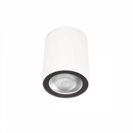 Накладной светильник Loft IT Rush 10344 White