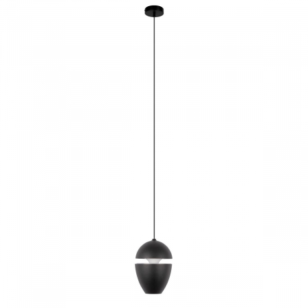 Подвесной светильник Loft IT Viterbo 10336 Black