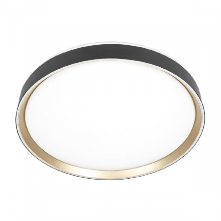 Потолочный светильник Citilux Boss CL751451G