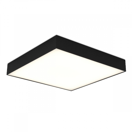 Потолочный светильник ST Luce ST608.442.48