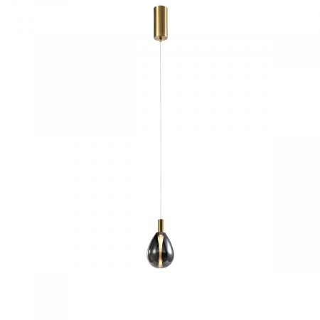 Подвесной светильник Favourite Hopper 4255-1P