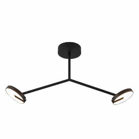 Потолочный светильник Favourite Paritet 4401-2C