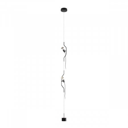Подвесной светильник Loft IT Parentesi 10346/2 Black