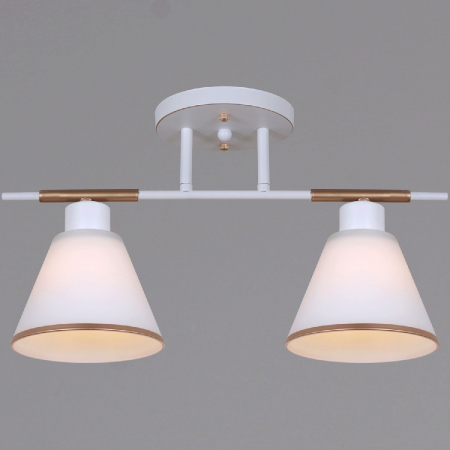 Потолочный светильник Reluce 07594-0.3-02 WG