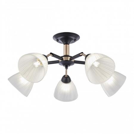 Люстра на штанге Arte Milano Napoli 324108/5 BK+FG