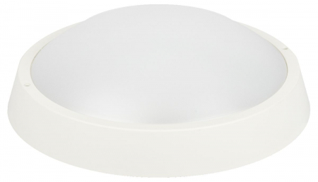 Настенно-потолочный светильник Эра SPB-203-0-40К-024 Б0062728