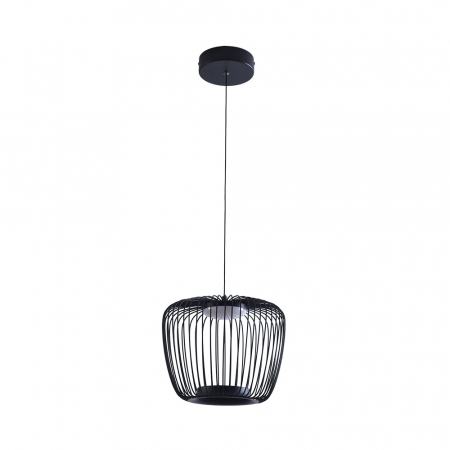 Подвесной светильник Arte Lamp Flare A3529SP-12BK