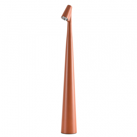 Настольная лампа Arte Lamp Fusion A3283LT-2BR