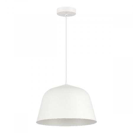 Подвесной светильник Evoluce Blank SLE1805-503-01