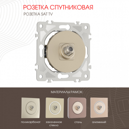 Розетка спутниковая SAT TV Arte Milano 202.42-1.shampan