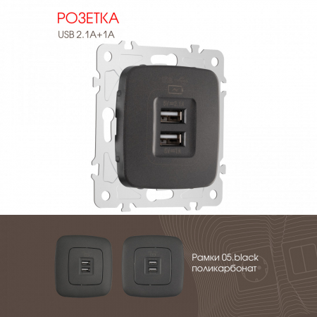 Розетка USB 2.1А+1А Arte Milano 205.46-1.black