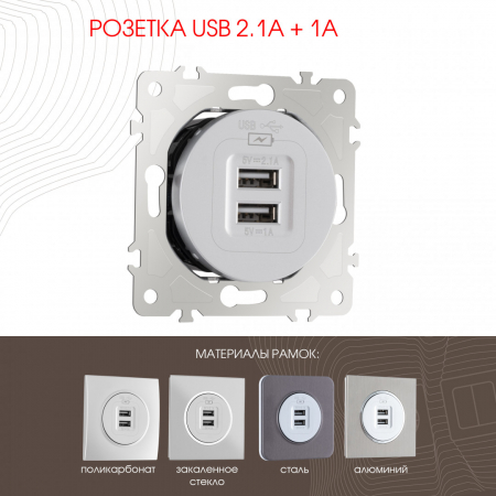 Розетка USB 2.1А+1А Arte Milano 202.46-1.silver