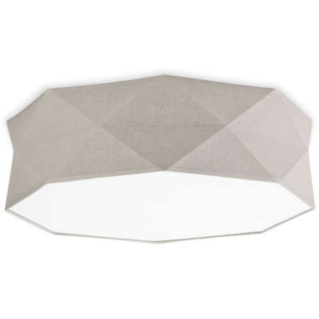 Потолочный светильник TK Lighting 6195 Kantoor Nature a059803