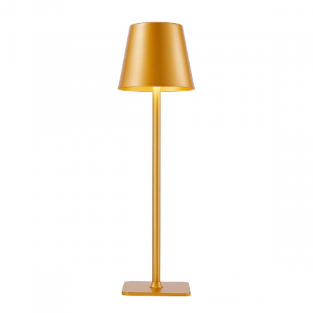 Настольная лампа F-Promo Pyari 4616-1T