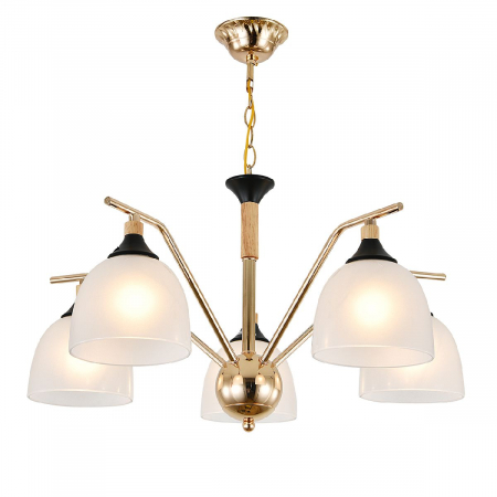 Подвесная люстра Escada Actinidia 2123/5P