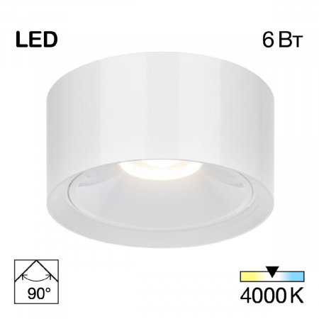 Накладной светильник Citilux Rover CL743060N