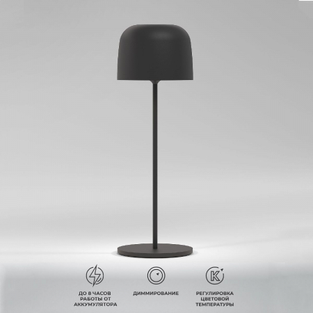 Уличная настольная лампа Elektrostandard Bitty TL70260 4690389211638 a069002