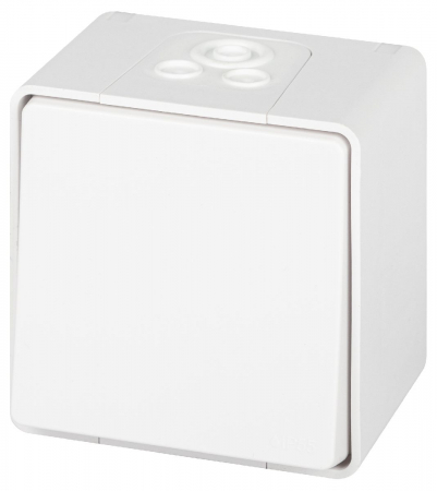 Переключатель одноклавишный Эра 11-1503-01 Б0063301