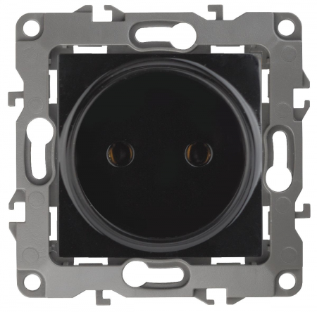 Розетка 2P Эра 12-2105-06 Б0018259