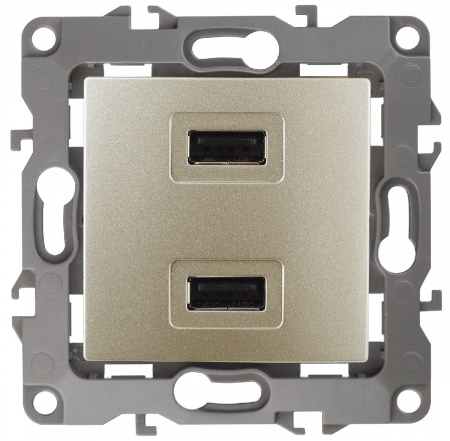 Розетка USB Эра 12-4110-04 Б0027494