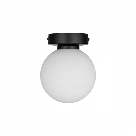 Настенно-потолочный светильник 33 Идеи WLL105.17BL-S01WH