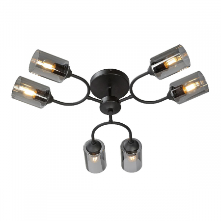 Потолочная люстра Vitaluce V2823-1/6PL