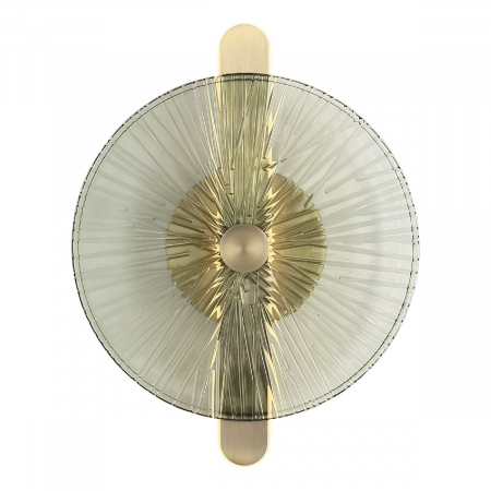 Настенный светильник ST Luce Wasi SL6141.321.01