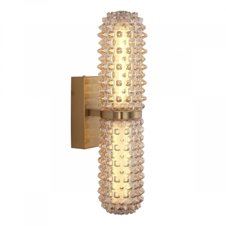 Настенный светильник ST Luce Saguaro SL6144.301.01