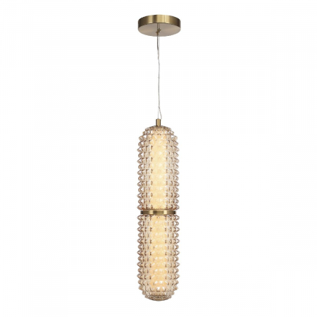 Подвесной светильник ST Luce Saguaro SL6144.303.01