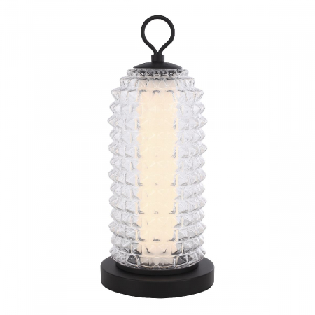 Настольная лампа ST Luce Saguaro SL6144.404.01