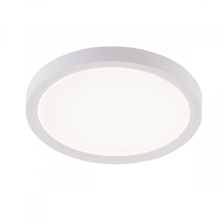 Потолочный светильник Natali Kovaltseva Plain LED LAMPS 81113/1C