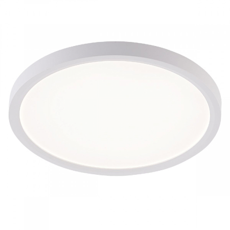 Потолочный светильник Natali Kovaltseva Plain LED LAMPS 81113/2C