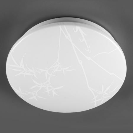 Потолочный светильник General Reed GSMCL-019-24 800258